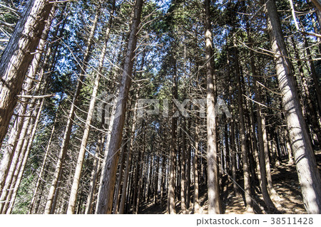 光州東古Mudeung山 38511428