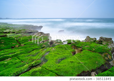 Old plum green stone trough Old plum green stone trough 38511845