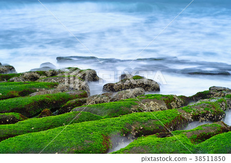 老梅綠石槽 38511850