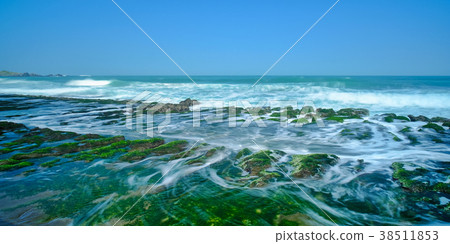 Old plum green stone trough 38511853