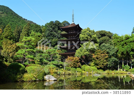 Furuichi Rurikoji五層寶塔 38511893