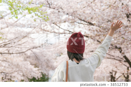 賞花 38512733