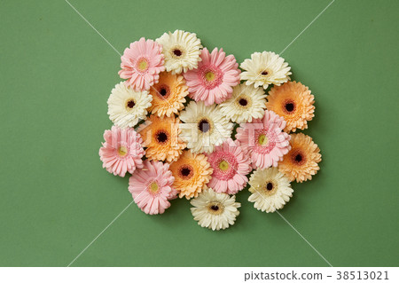 Gerbera flowers on a green paper background. Gerbera flowers on a green paper background. 38513021
