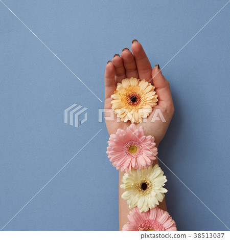 The girl's hand is decorated with colorful The girl's hand is decorated with colorful 38513087