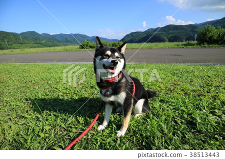 來自北海道的Kuroiso 38513443