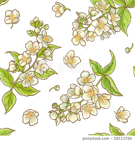 jasmine branch vector pattern 38513780