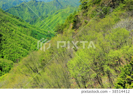 We look at fresh green mountain range from Ryokamiyama, Hacchoone We look at fresh green mountain range from Ryokamiyama, Hacchoone 38514412