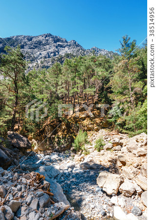 Samaria Gorge in central Crete, Greece Samaria Gorge in central Crete, Greece 38514956