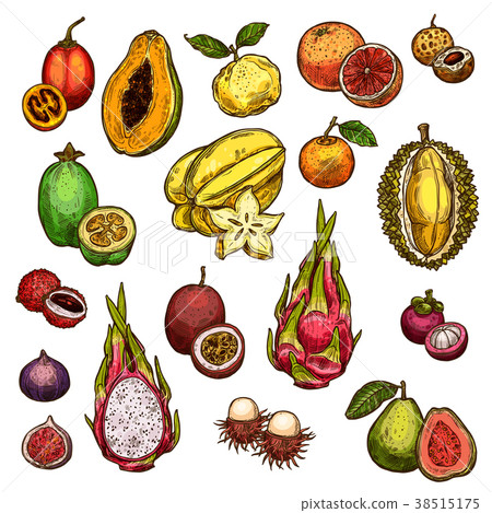Set of ripe exotic fruits Set of ripe exotic fruits 38515175