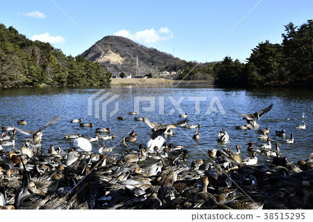 Winter yama park 38515295