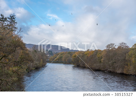 Scenic view of River Tummel, Pitlochry Dam Scenic view of River Tummel, Pitlochry Dam 38515327