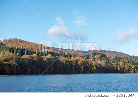 Scenic view of River Tummel, Pitlochry Dam Scenic view of River Tummel, Pitlochry Dam 38515344