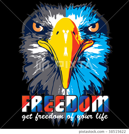 eagle head cartoon vector - Stock Illustration [38515622] - PIXTA