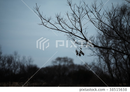 荒涼的景觀 荒涼的景觀 38515638