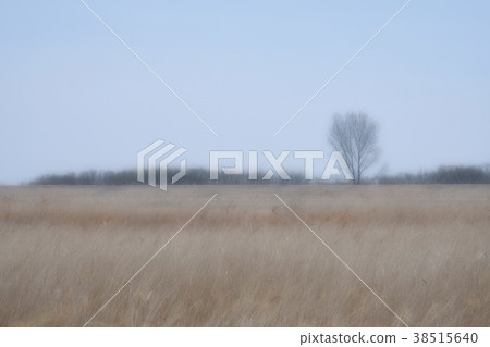 荒涼的景觀 38515640