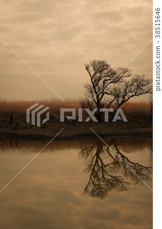 Bleak landscape 38515646