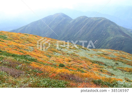 Yudonoyama from Mt. Yudonoyama from Mt. 38516597