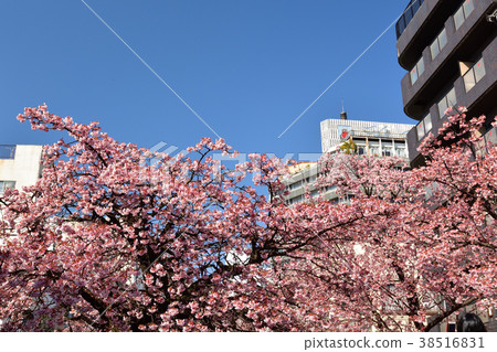 Atami Atami 38516831