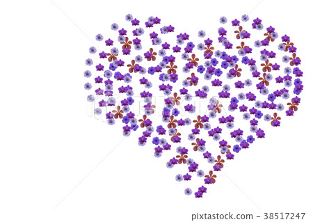 Heart  flower heart  isolated on white background. 38517247