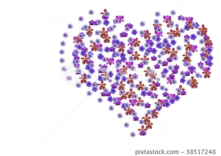 Heart flower heart isolated on white background. Heart flower heart isolated on white background. 38517248
