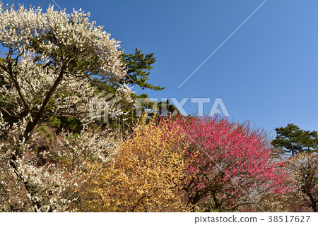 熱海廣場 38517627