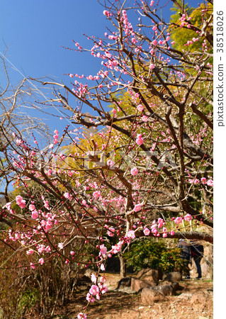 熱海廣場 38518026