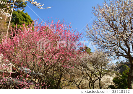 熱海廣場 38518152