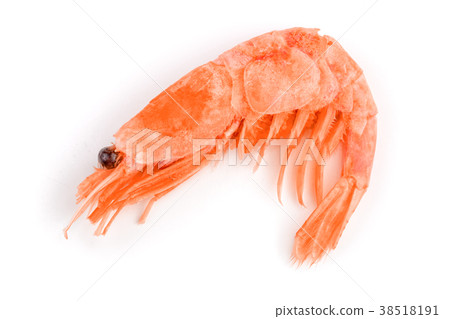 Red cooked prawn or shrimp isolated on white Red cooked prawn or shrimp isolated on white 38518191