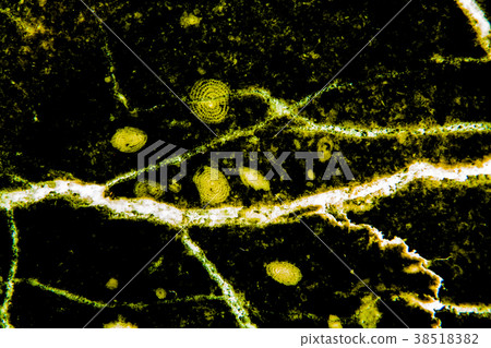 Gold marble natural texture for dark background. Gold marble natural texture for dark background. 38518382