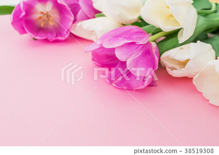 Tulips bouquet on pastel background. Closeup view. 38519308