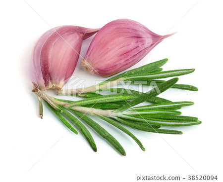 garlic with rosemary leaves isolated on white garlic with rosemary leaves isolated on white 38520094