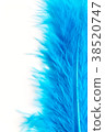 Close-up of Blue feather  isolated on white 38520747