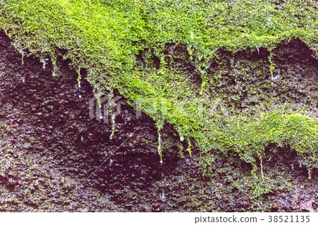 Waterfall in Jogsan 38521135