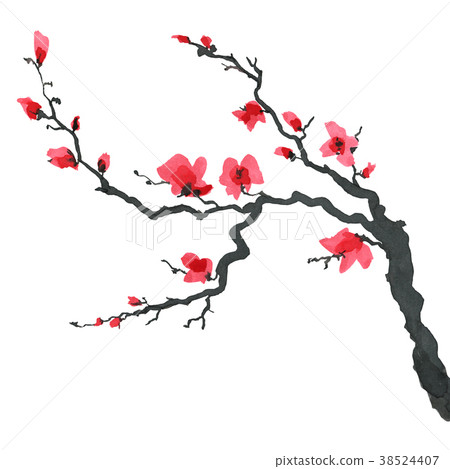 Sakura tree in Japanese style. Watercolor hand Sakura tree in Japanese style. Watercolor hand 38524407