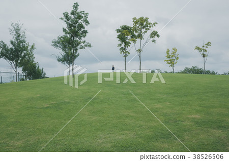 park, parks, play 38526506