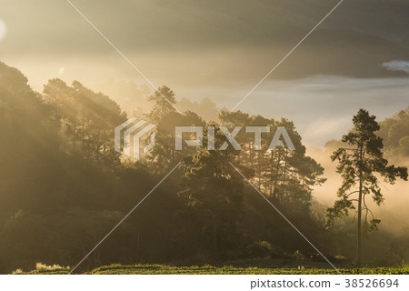 sunrise in the mountains landscape forest sunrise in the mountains landscape forest 38526694