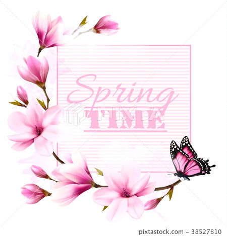 Nature spring background with beautiful magnolia 38527810