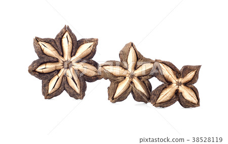 Sacha inchi peanut seed isolate on white Sacha inchi peanut seed isolate on white 38528119