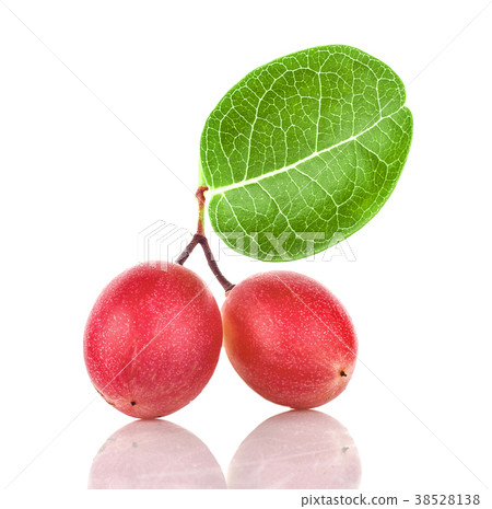 Carissa carandas Linn,Karanda, Carunda isolated 38528138