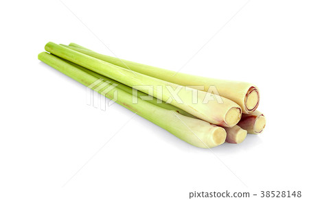 lemon grass isolated on white background lemon grass isolated on white background 38528148