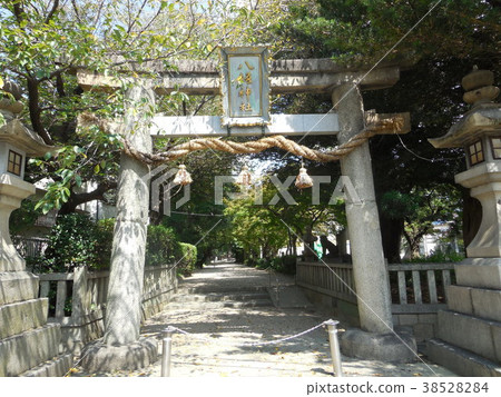 Yasaka Shrine 38528284