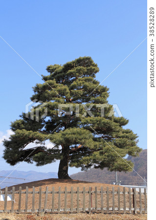 Nakasendo Hiride Iriyatsuka南側 38528289