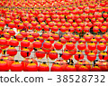 Chinese Lanterns 38528732