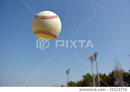Fly image 38528759