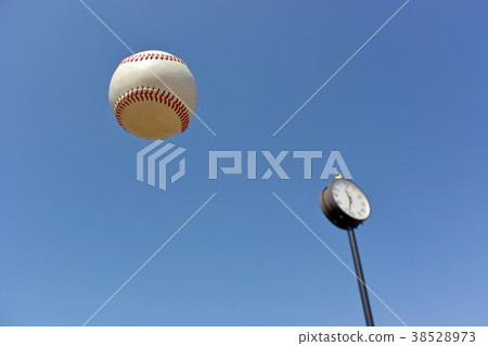 image of baseball image of baseball 38528973