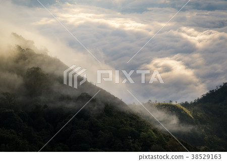 Mountain and morning mist Mountain and morning mist 38529163