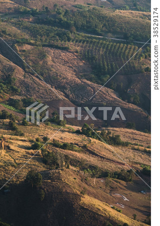 Deforestation for shifting cultivation in Thailand 38529174