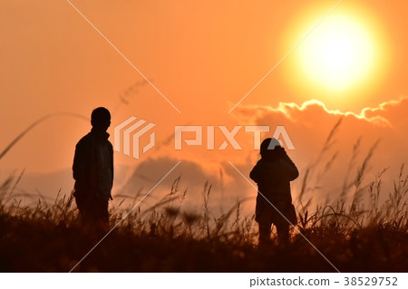 Silhouette Silhouette 38529752