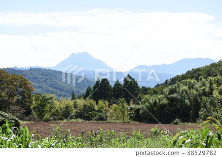 Fukami五層寶塔 38529782