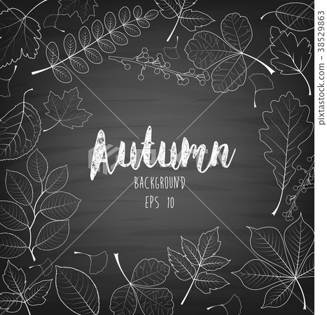 Autumn leaves written with chalk on black chalkboa - Stock Illustration ...